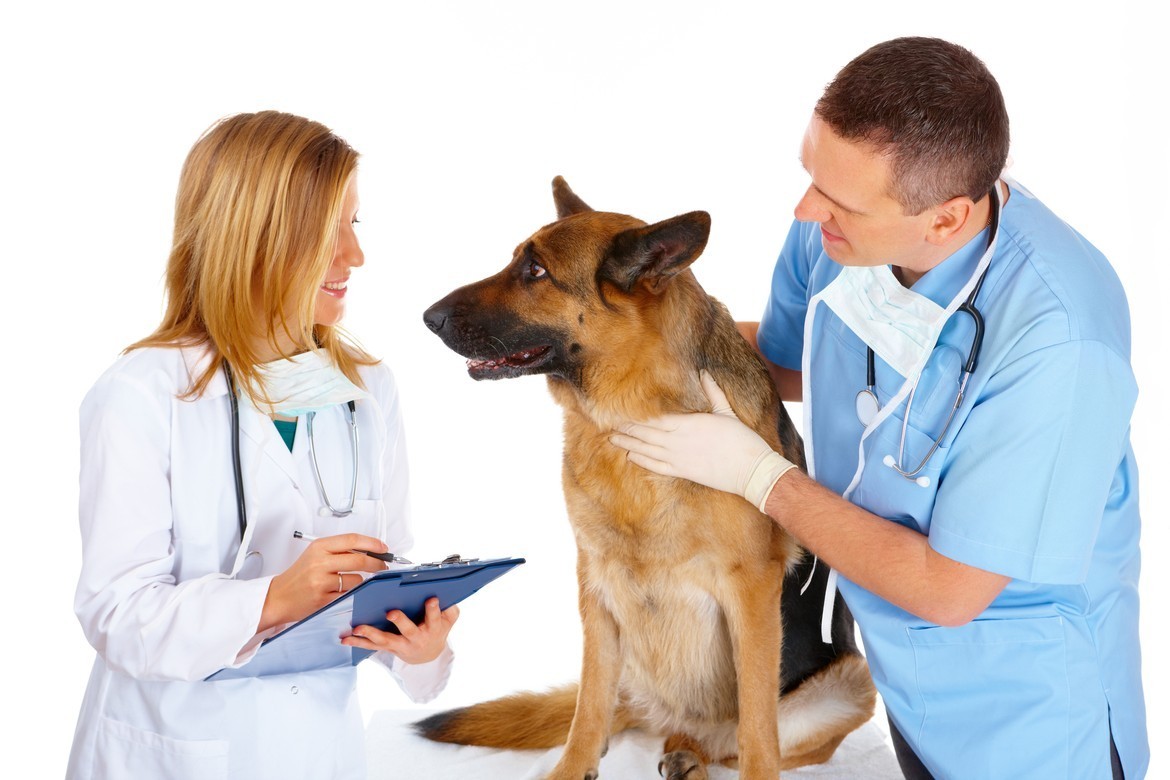 Petland Joplin Health Warranty