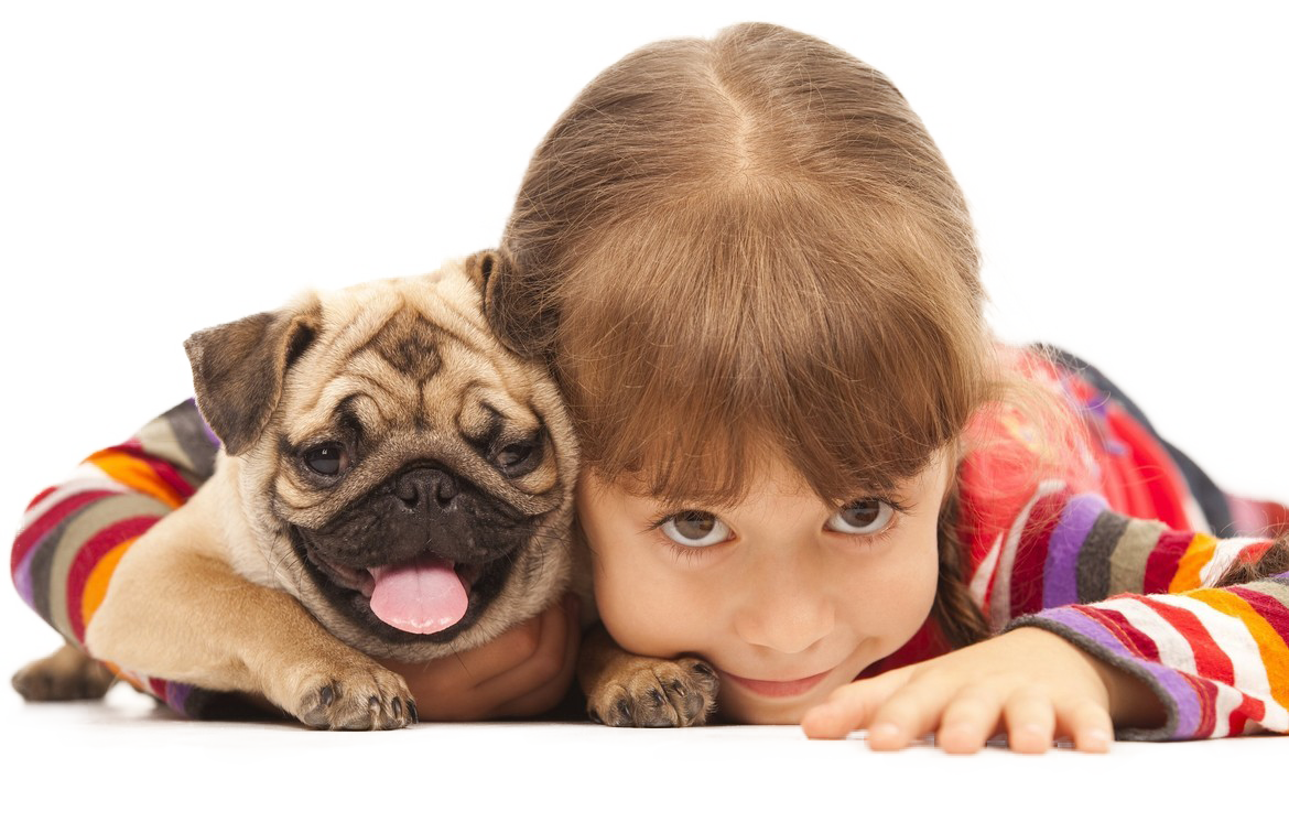 Petland Joplin Pet Services