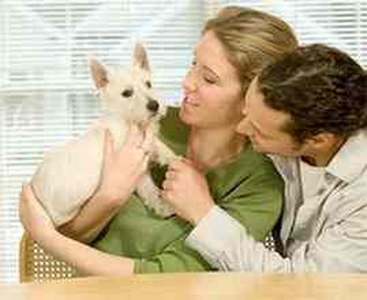 Petland Joplin Adopt-A-Pet family Homeless Pets Care