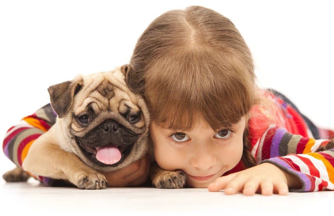 Petland Joplin Pet Services