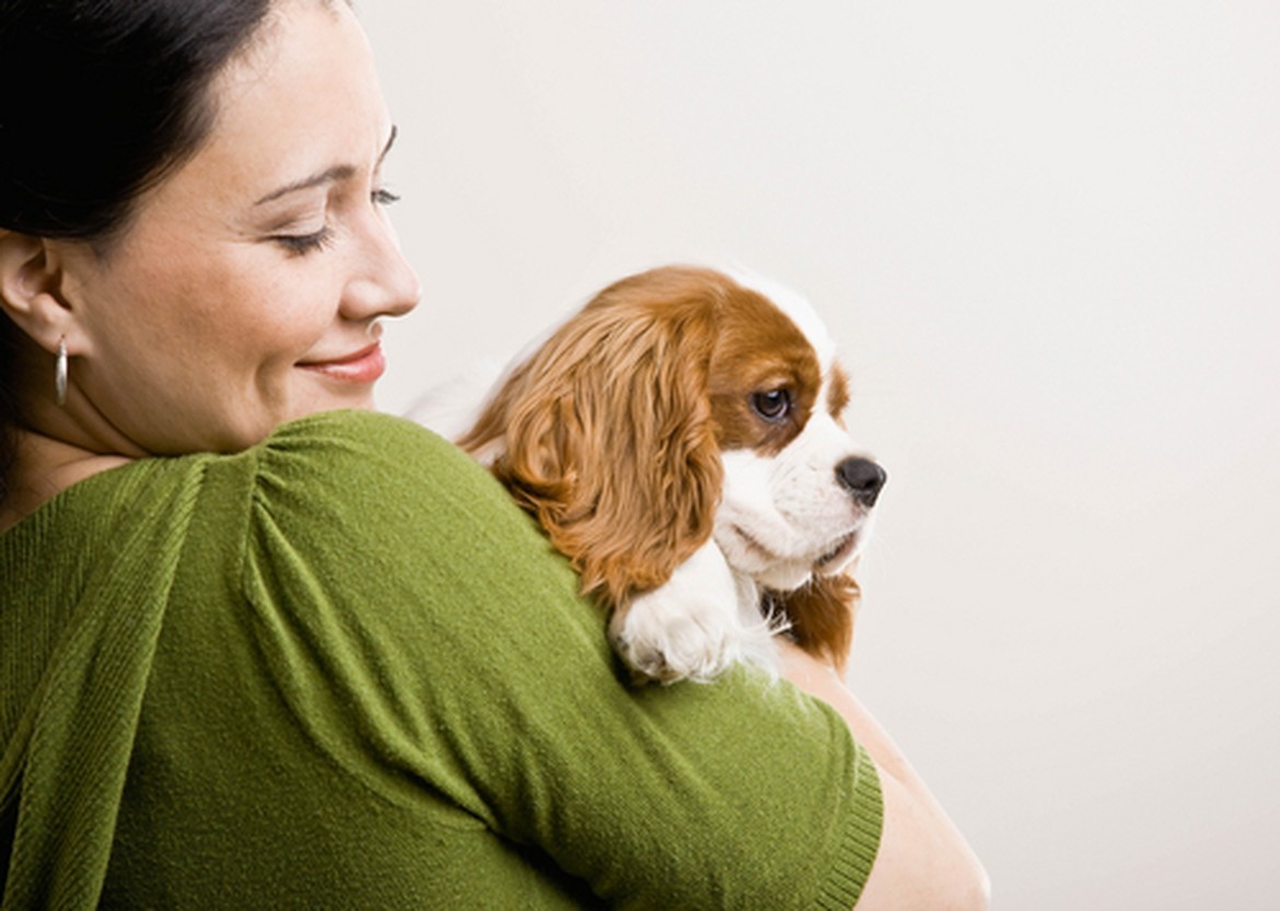 Petland Joplin Return Policy